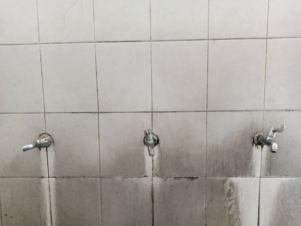 Reliable Bushyhead, OK Water damage restoration Solutions